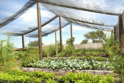 Shade Cloth in Greenhouses