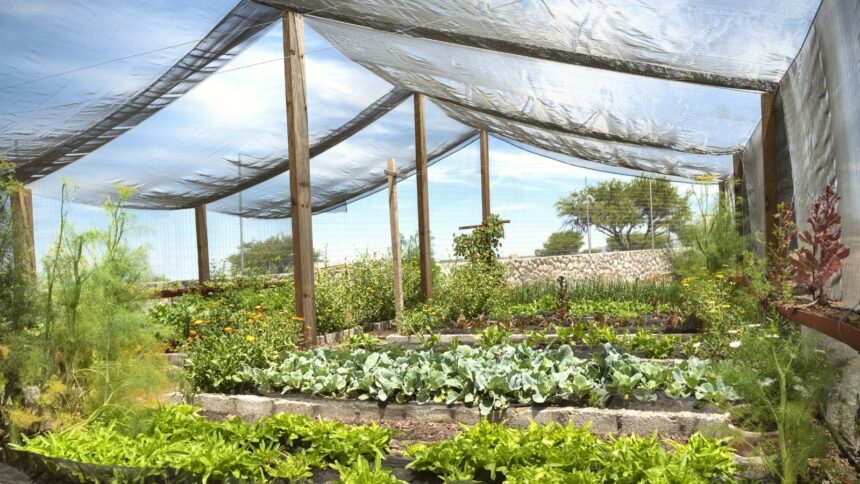 Shade Cloth in Greenhouses